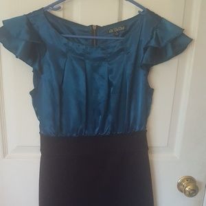 Casual/Professional Dress